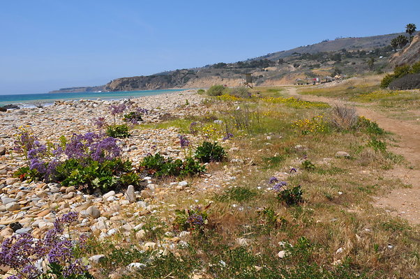 DSC 1436