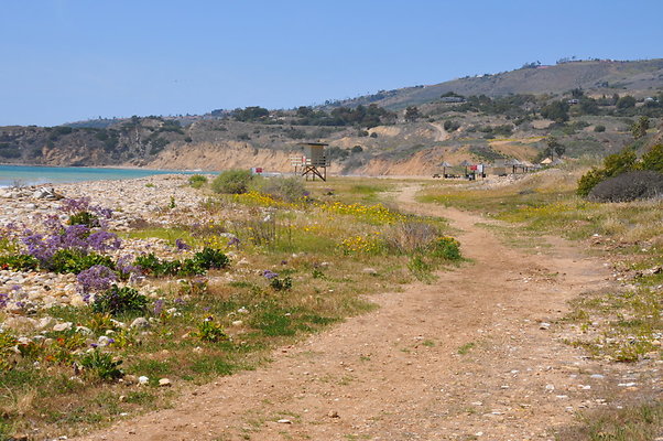 DSC 1431