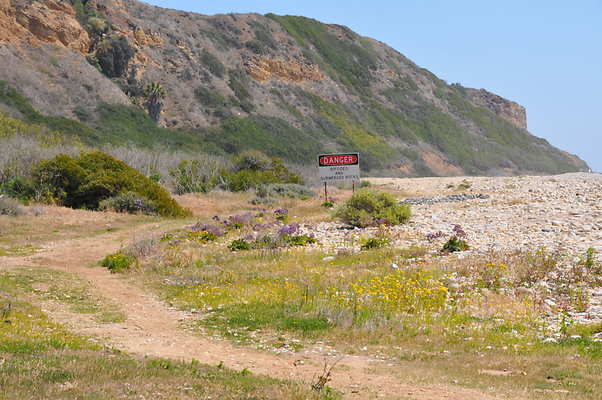 DSC 1404