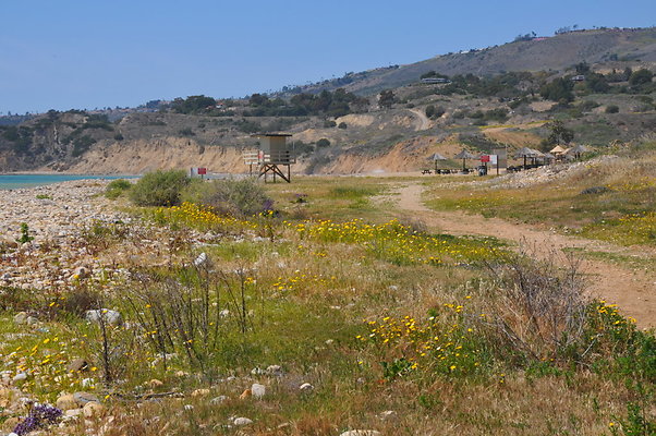 DSC 1437