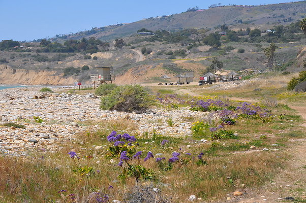 DSC 1428