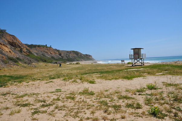 DSC 1385