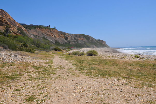 DSC 1397