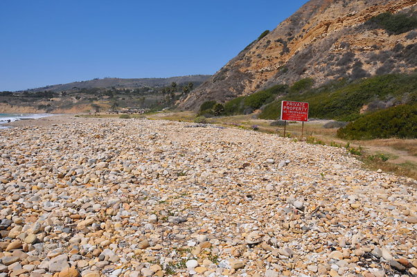 DSC 1420
