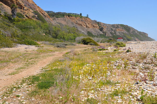DSC 1405