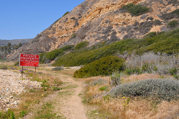 DSC 1426