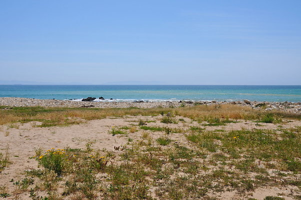DSC 1389