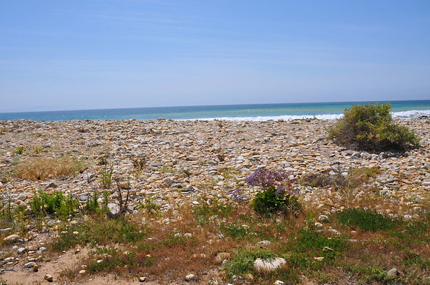 DSC 1433