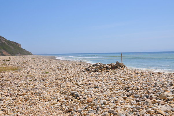 DSC 1410