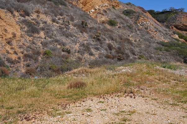 DSC 1396