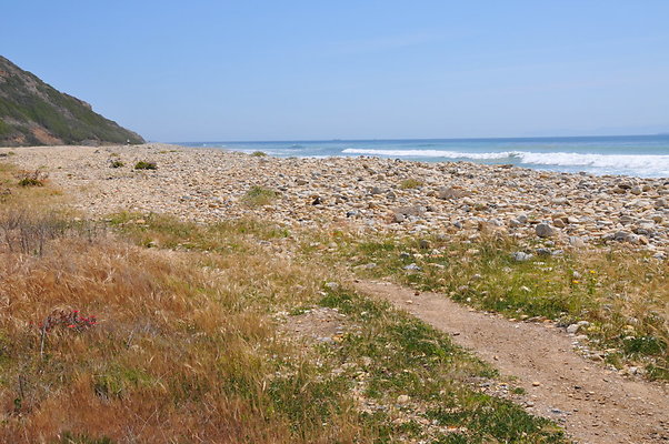 DSC 1423