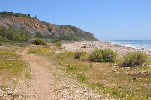 DSC 1400
