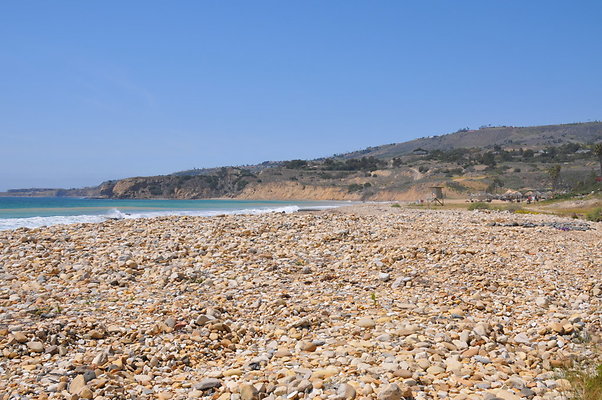 DSC 1425