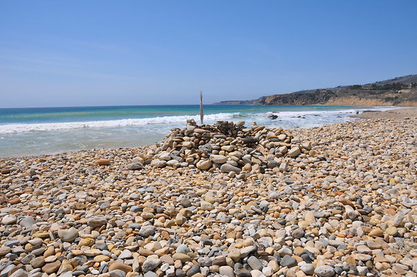DSC 1419