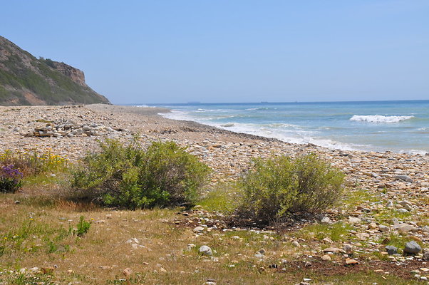 DSC 1401
