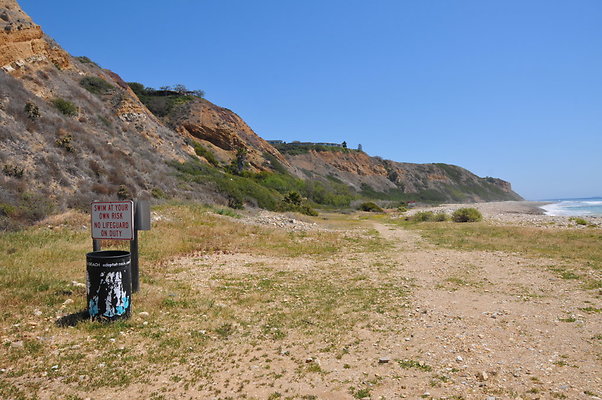 DSC 1393