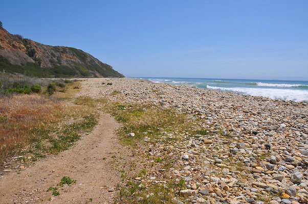 DSC 1421