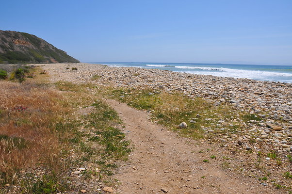 DSC 1422