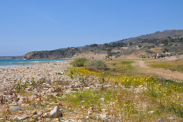 DSC 1438