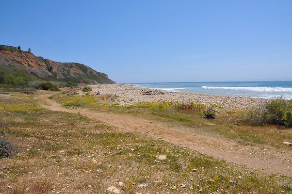 DSC 1402