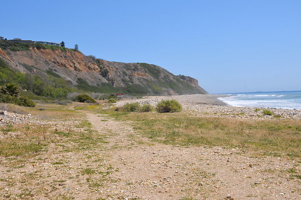 DSC 1393a