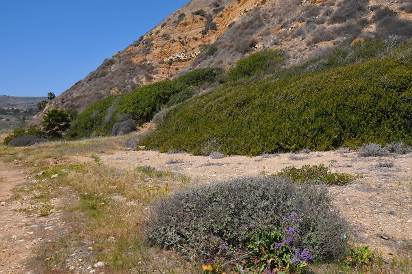 DSC 1435