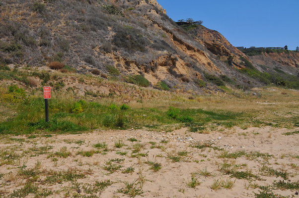DSC 1387