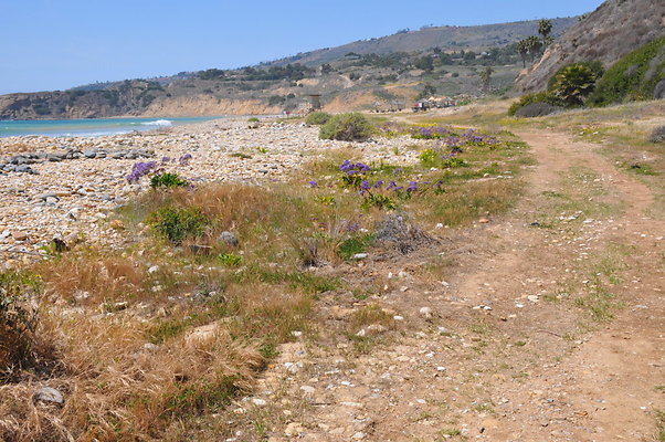 DSC 1427