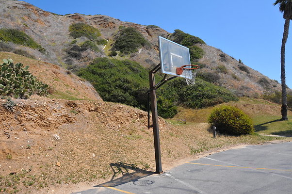 DSC 1309