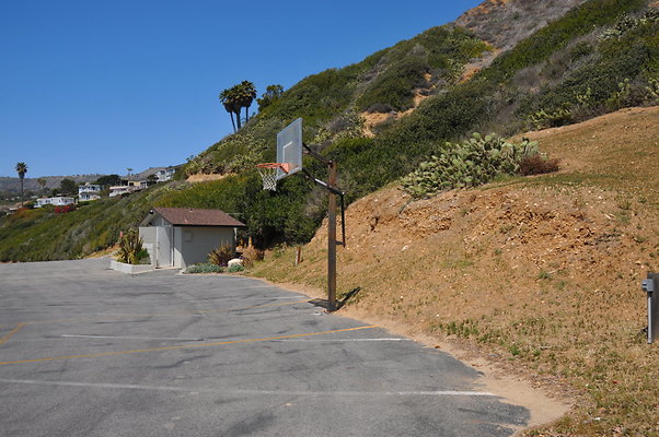 DSC 1316
