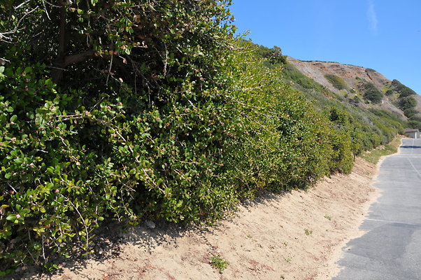 DSC 1713