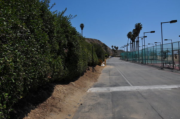 DSC 1284