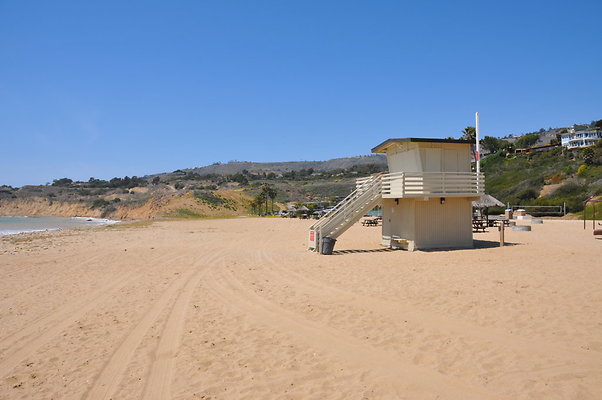 DSC 1478