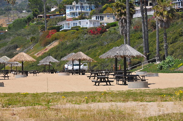 DSC 1452