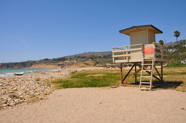 DSC 1442