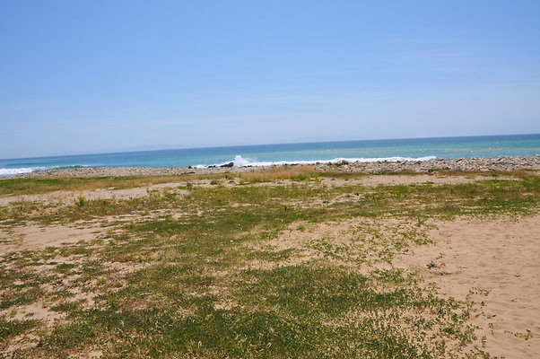 DSC 1381