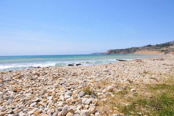 DSC 1449