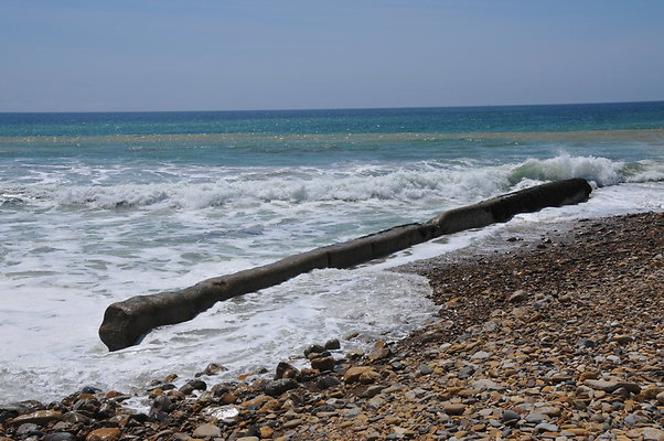DSC 1463