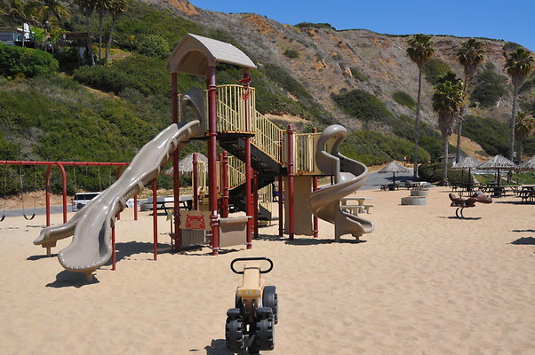 DSC 1488