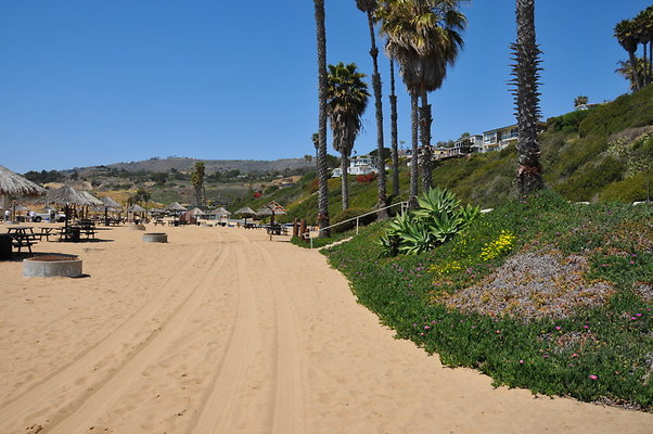 DSC 1338