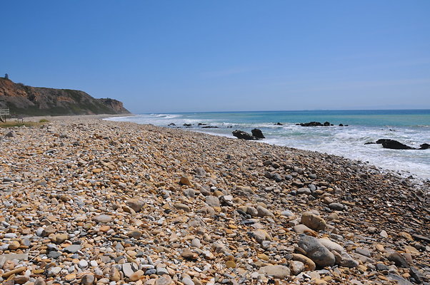 DSC 1464