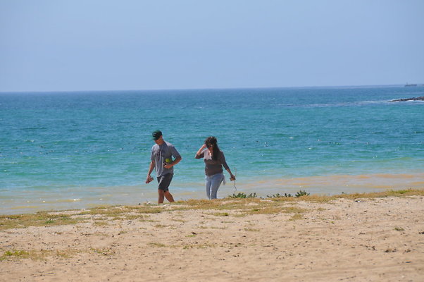 DSC 1501