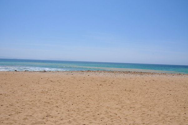 DSC 1356