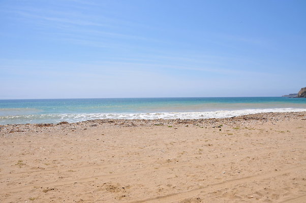 DSC 1477