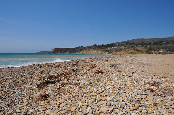 DSC 1466