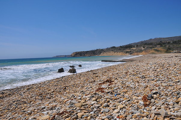 DSC 1444