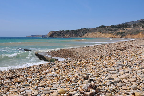 DSC 1459