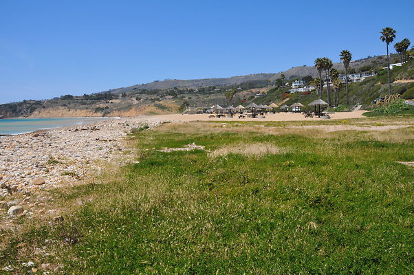 DSC 1454