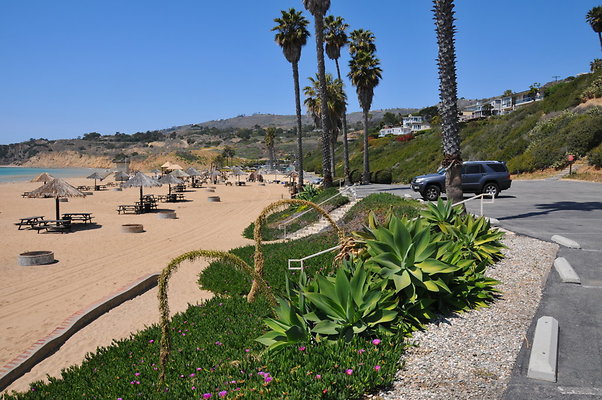 DSC 1331