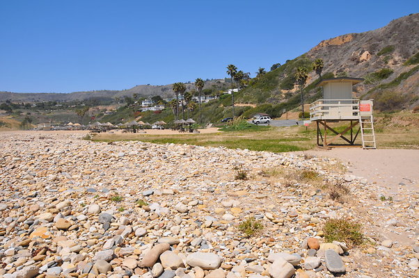 DSC 1448